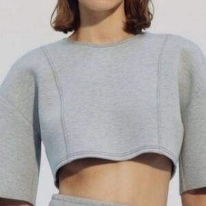 Zara Grey Crop Top Zipper in the Back